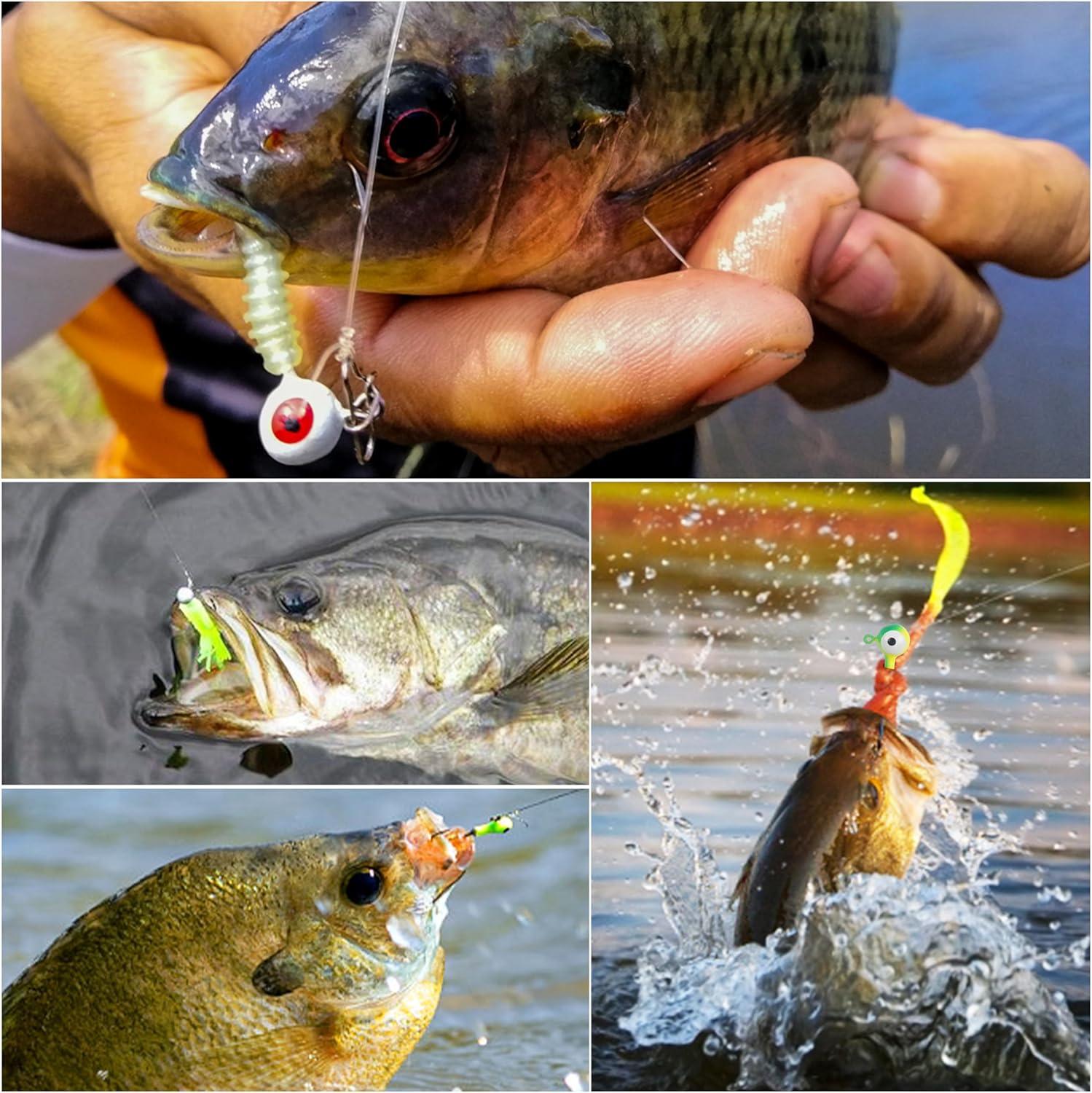 imageOROOTL Fishing Jig Heads Kit 65pcs Round Jig Heads Hooks Set Assorted Painted Fishing Jigs Head for Walleye Crappie Bass Saltwater Freshwater Fishing2colors 65pcs